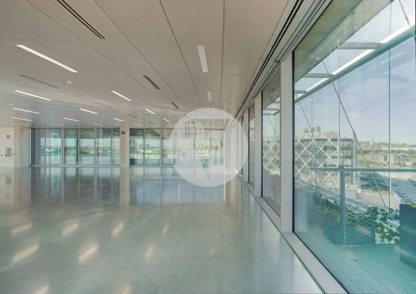 Foto 2 de Alquiler de oficina en Las Tablas de 281 m²