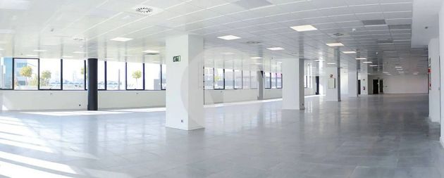 Foto 1 de Alquiler de oficina en Las Tablas de 2138 m²