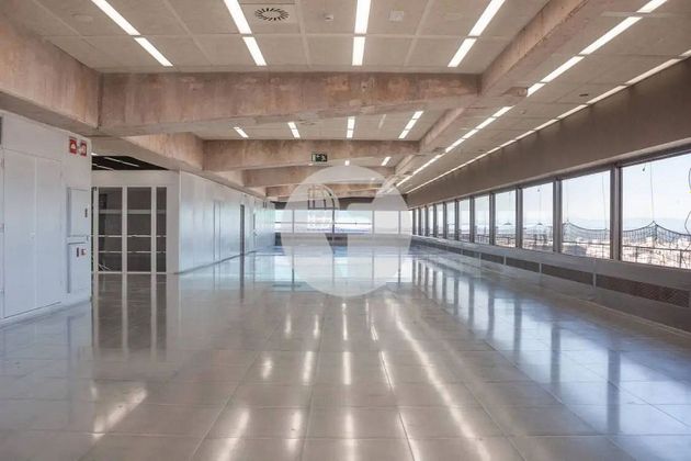 Foto 2 de Oficina en lloguer a Bernabéu - Hispanoamérica de 1337 m²