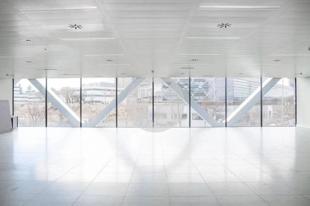 Foto 2 de Alquiler de oficina en Las Tablas de 1588 m²