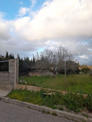 Foto 1 de Terreny en venda a Vilafranca de Bonany de 532 m²