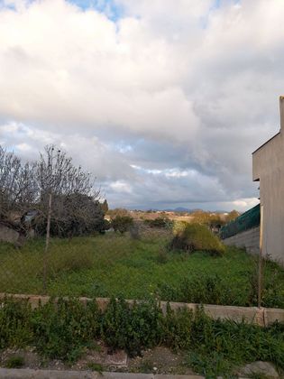 Foto 2 de Venta de terreno en Vilafranca de Bonany de 532 m²