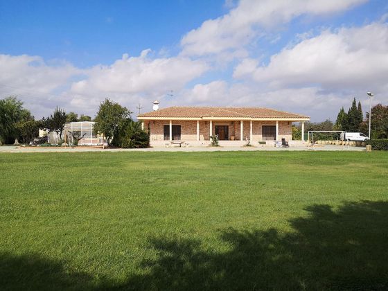 Foto 2 de Xalet en venda a Santa Oliva de 5 habitacions amb piscina i jardí