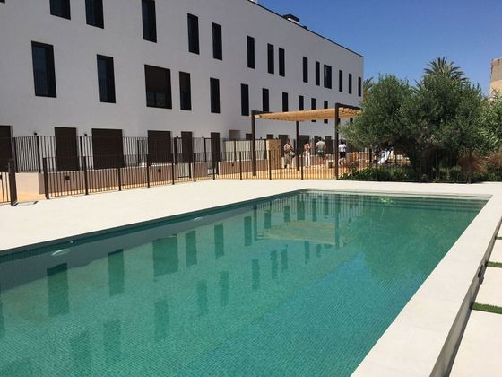 Foto 1 de Alquiler de piso en San Juan de Alicante/Sant Joan d´Alacant de 1 habitación con terraza y piscina