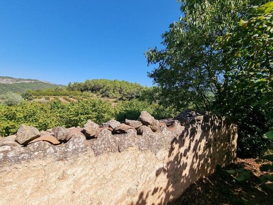 Foto 1 de Venta de terreno en Tivissa de 68617 m²