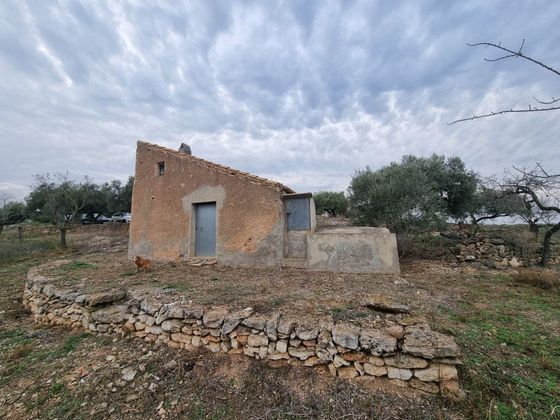 Foto 1 de Casa rural en venta en Perelló, el (Tar) de 1 habitación y 25 m²