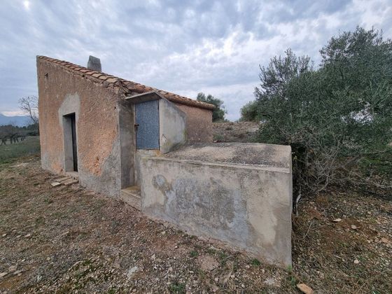 Foto 2 de Casa rural en venta en Perelló, el (Tar) de 1 habitación y 25 m²