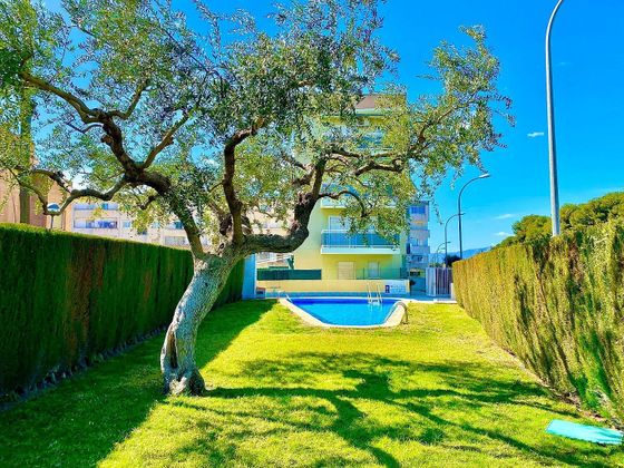 Foto 1 de Pis en venda a Regueral - Prat d'en Forés de 1 habitació amb terrassa i piscina