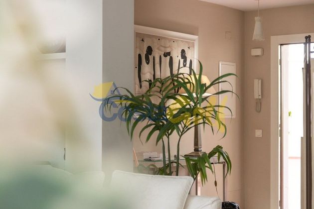 Foto 2 de Piso en alquiler en calle Doctor Eusebio Ramírez de 1 habitación con muebles y aire acondicionado