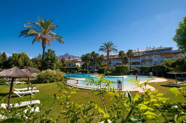 Foto 2 de Piso en venta en Nueva Andalucía centro de 3 habitaciones con terraza y piscina