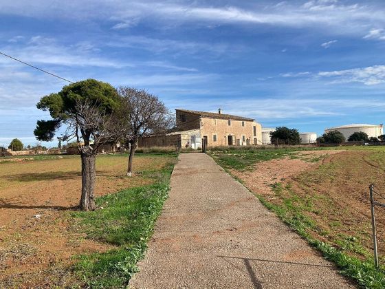Foto 1 de Casa rural en venda a Sant Jordi - Son Ferriol de 3 habitacions amb garatge i jardí