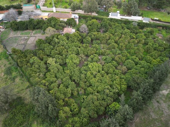 Foto 2 de Venta de terreno en Barrios (Los) de 5500 m²