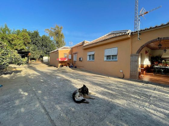 Foto 1 de Venta de casa rural en Pizarra de 5 habitaciones con piscina y jardín
