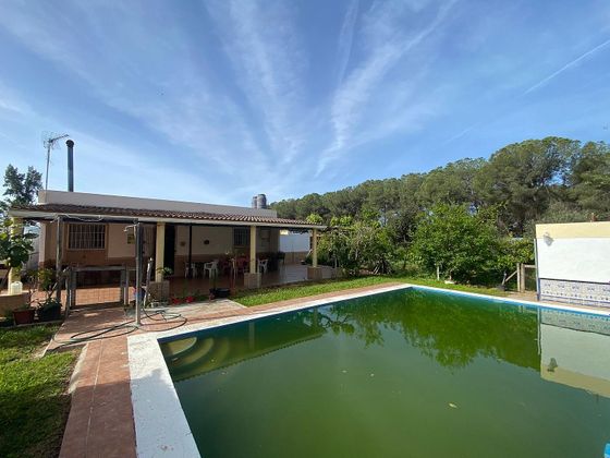 Foto 1 de Casa rural en venda a Utrera de 3 habitacions amb piscina i jardí