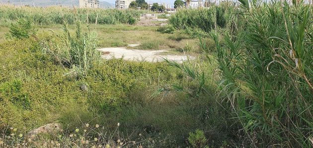 Foto 2 de Venta de terreno en Grau de Gandia- Marenys Rafalcaid de 500 m²