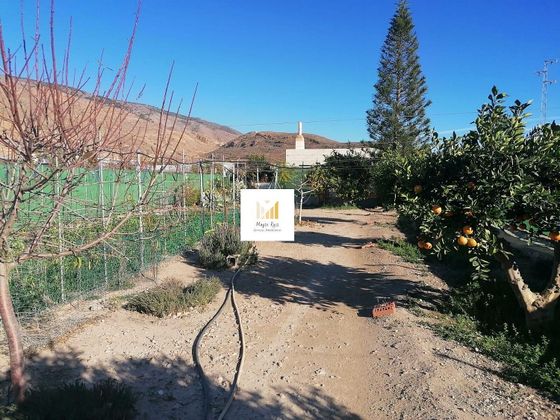 Foto 1 de Casa rural en venda a Dalías de 1 habitació amb terrassa i jardí