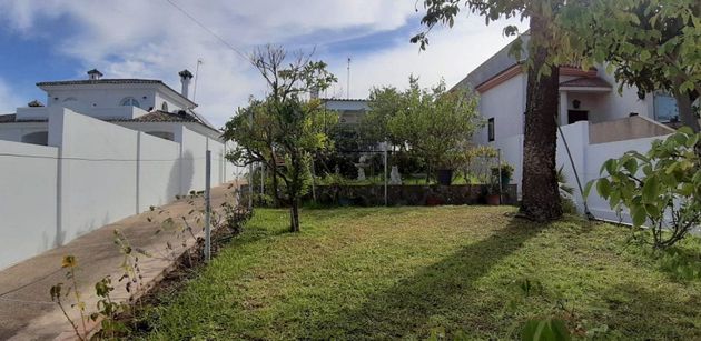 Foto 1 de Xalet en venda a La Jara de 3 habitacions amb terrassa i jardí