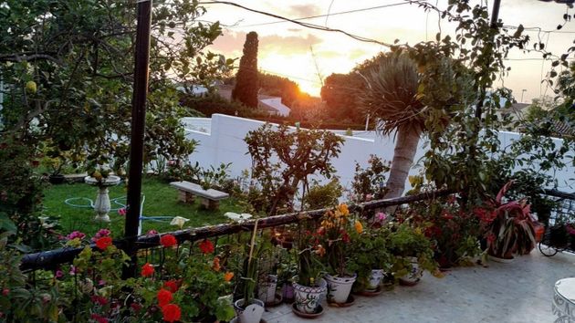 Foto 2 de Xalet en venda a La Jara de 3 habitacions amb terrassa i jardí