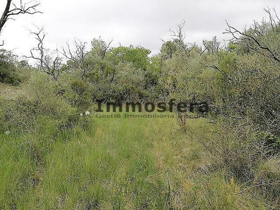 Foto 2 de Venta de terreno en Sénia, la de 7009 m²