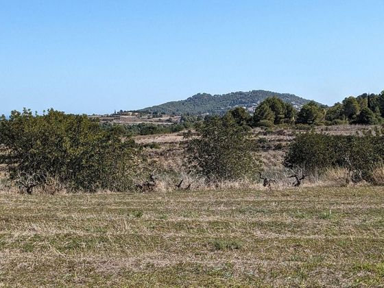 Foto 2 de Venta de terreno en Devesses - Monte Pego de 12017 m²