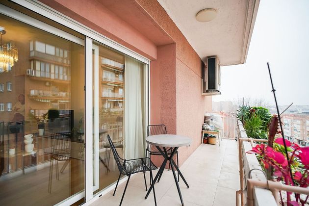 Foto 2 de Piso en venta en Tres Olivos - Valverde de 3 habitaciones con terraza y jardín