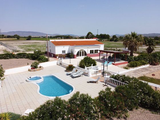 Foto 1 de Venta de chalet en Villena de 5 habitaciones con terraza y piscina