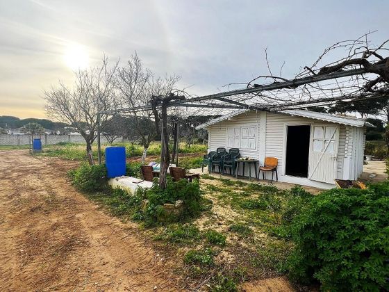 Foto 1 de Venta de terreno en Las Lagunas - Campano de 2000 m²