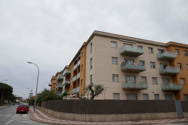 Foto 1 de Piso en alquiler en Regueral - Prat d'en Forés de 2 habitaciones con terraza y piscina