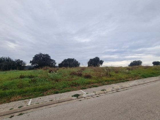 Foto 2 de Venta de terreno en Cervià de Ter de 870 m²