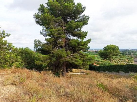 Foto 2 de Venta de terreno en Castellvell del Camp de 1021 m²