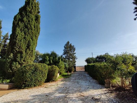 Foto 2 de Casa rural en venda a La Palma de 4 habitacions amb piscina i aire acondicionat