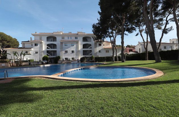 Foto 1 de Dúplex en venda a Maioris-Puig de Ros de 2 habitacions amb terrassa i piscina