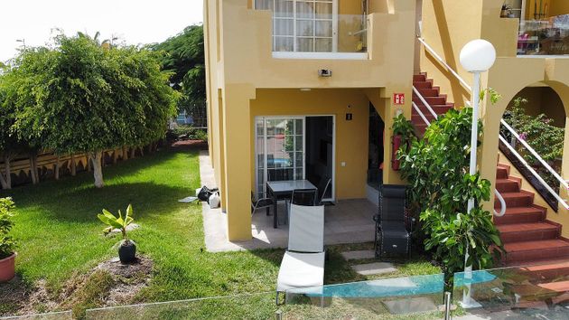 Foto 1 de Piso en alquiler en calle Tauro de 1 habitación con terraza y piscina
