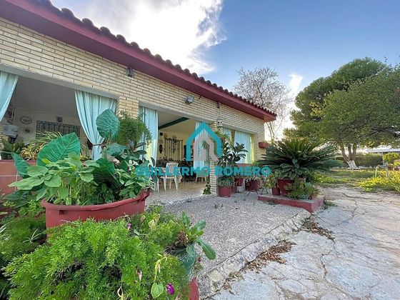 Foto 2 de Casa rural en venda a Puebla del Río (La) de 3 habitacions i 700 m²