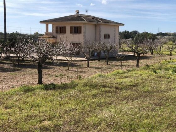 Foto 1 de Casa rural en venta en Establiments - Son Espanyol - Son Sardina de 5 habitaciones con terraza y piscina