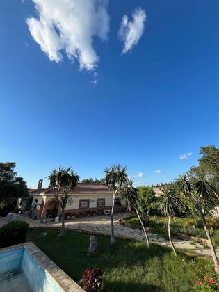 Foto 1 de Venta de chalet en Rinconada (La) de 4 habitaciones con terraza y piscina