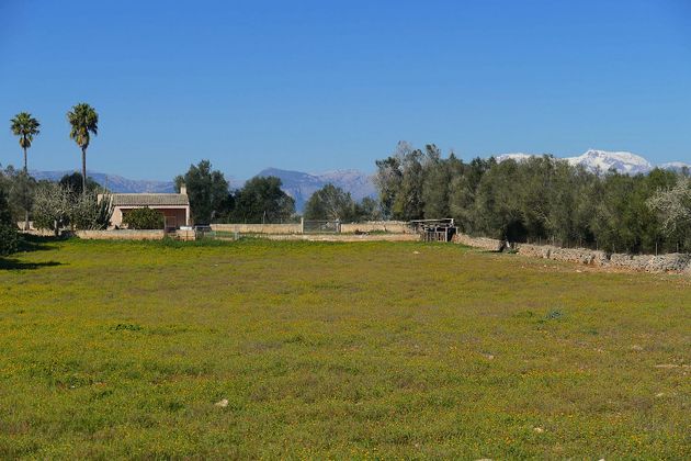 Foto 1 de Venta de terreno en Algaida de 14162 m²