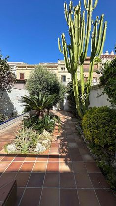 Foto 1 de Casa en venda a Vilassar de Mar de 5 habitacions amb terrassa i jardí