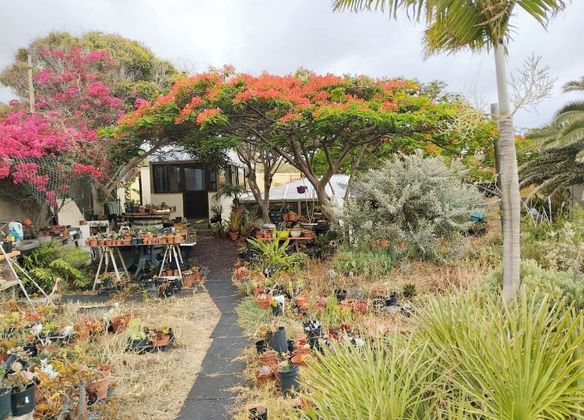 Foto 2 de Casa rural en venda a Punta del Hidalgo de 2 habitacions amb piscina i jardí