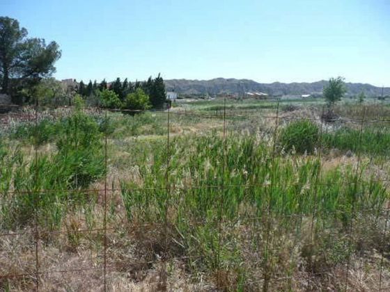 Foto 1 de Venta de terreno en Nuez de Ebro de 1749 m²