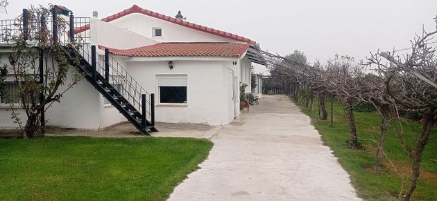Foto 1 de Venta de chalet en Fuente el Saz de Jarama de 5 habitaciones con terraza y piscina