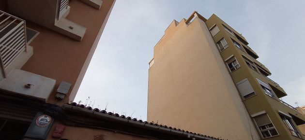 Foto 1 de Terreno en venta en Marquès de la Fontsanta - Pere Garau de 339 m²