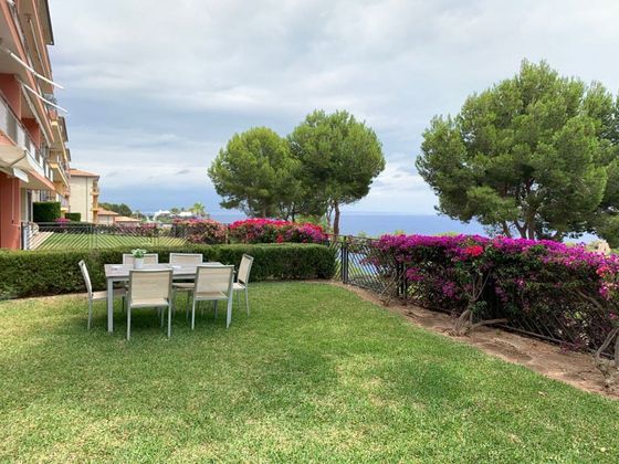 Foto 2 de Piso en alquiler en Sol de Mallorca de 3 habitaciones con terraza y piscina