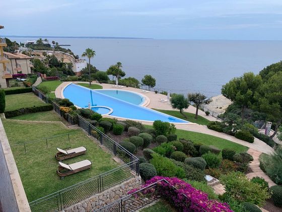 Foto 1 de Pis en lloguer a Sol de Mallorca de 3 habitacions amb terrassa i piscina