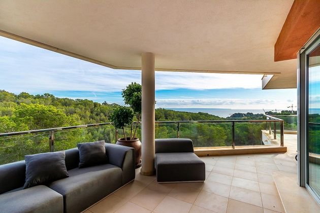 Foto 2 de Piso en alquiler en Sol de Mallorca de 3 habitaciones con terraza y piscina