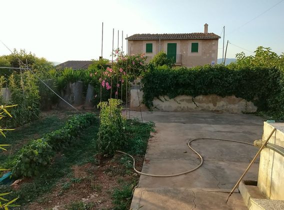Foto 1 de Casa rural en venda a Sant Jordi - Son Ferriol de 5 habitacions amb terrassa i jardí