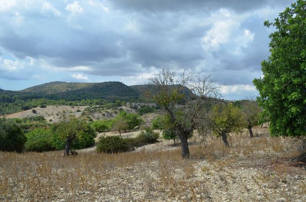 Foto 2 de Venta de terreno en Pobla (Sa) de 85000 m²