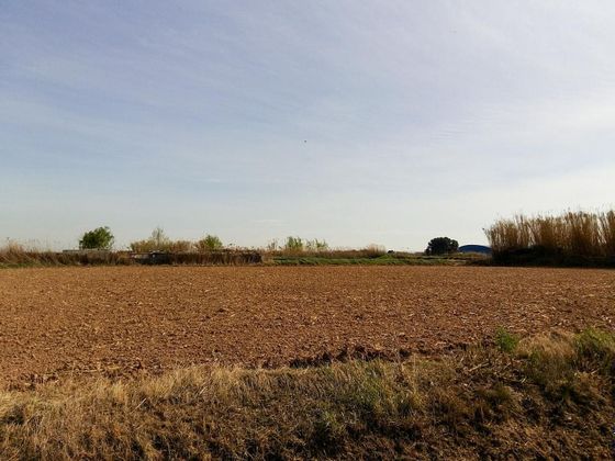 Foto 1 de Venta de terreno en Torres de Berrellén de 20814 m²