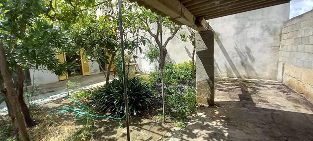 Foto 2 de Casa en venda a Lloseta de 3 habitacions amb terrassa i jardí