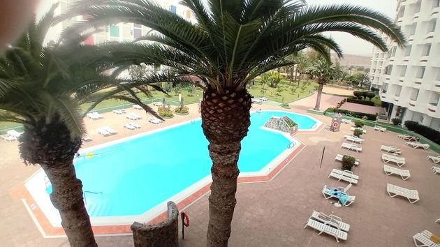 Foto 2 de Piso en venta en Playa del Inglés de 1 habitación con terraza y piscina